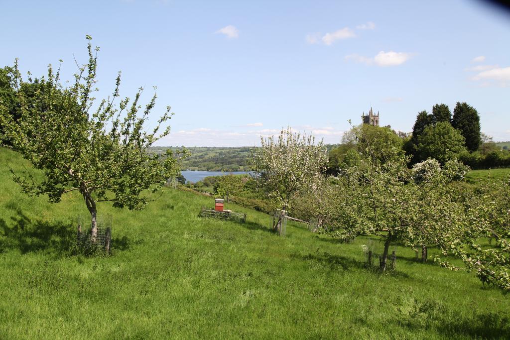 The Seymour Arms Hotel Blagdon ภายนอก รูปภาพ