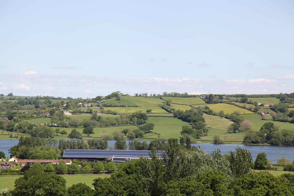 The Seymour Arms Hotel Blagdon ภายนอก รูปภาพ